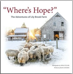 WHERE'S HOPE THE ADVENTURES OF LILY BROOK FARM BY JEAN COUSINS