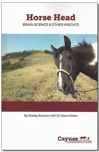 HORSE HEAD: BRAIN SCIENCE AND OTHER INSIGHTS BY MADDY BUTCHER AND DR. STEVE PETERS
