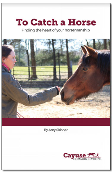 TO CATCH A HORSE: FINDING THE HEART OF YOUR HORSEMANSHIP BY AMY SKINNER
